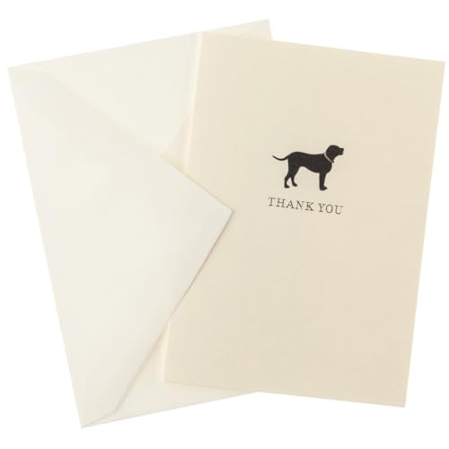 Graphique La Petite Presse Boxed Blank Thank You Cards - Black Lab with Gold Foil - Perfect Thank Yous for Gifts, Weddings, Bridal Showers, and More - Pack of 10 Cards with Envelopes (3.25 x 4.75") - color: Black Lab