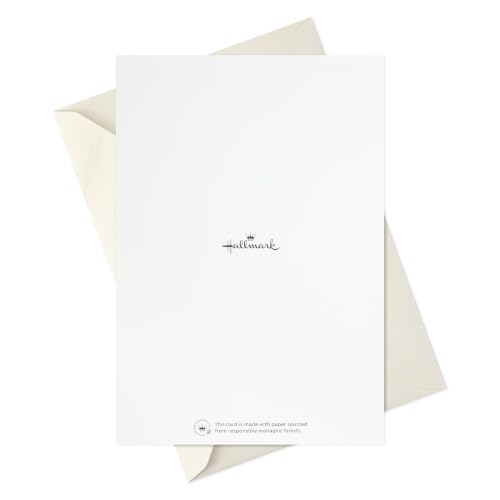 Hallmark Bulk Sympathy Cards, Assorted 16-Pack (Abstract Watercolor)