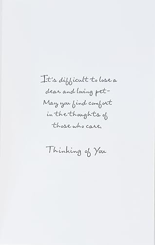 Greeting Card May You Find Comfort in The Thoughts of Those Who Care - Religious With Sympathy In The Loss of Your Pet (Cat Dog)