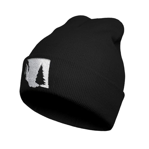 Embroidery Beanie for Men & Women, Multi-Season Stretch Skull Knit Hats, Winter Warm Beanie - color: Washington