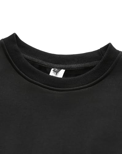 Niepce Inc Men's Embroidered Graphic Crewneck Sweatshirt - color: Black-cranes, size: Small