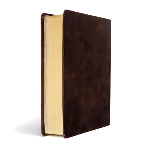 CSB Study Bible, Brown Genuine Leather, Red Letter, Study Notes and Commentary, Illustrations, Articles, Word Studies, Outlines, Timelines, Easy-to-Read Bible Serif Type