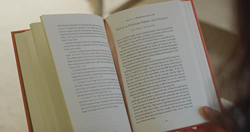 Daily Joy: A Devotional for Women – Christian Gifts for Women: A Devotional for Women