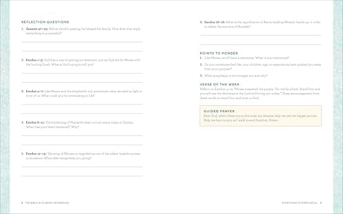The Bible in 52 Weeks Workbook: A Yearlong Bible Study for Women