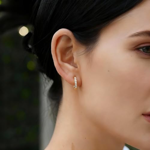 Small Gold/Silver Hoop Earrings for Women - color: Paved CZ Hoop