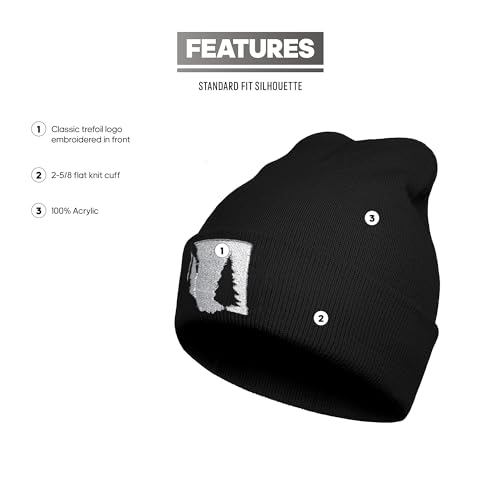 Embroidery Beanie for Men & Women, Multi-Season Stretch Skull Knit Hats, Winter Warm Beanie - color: Washington