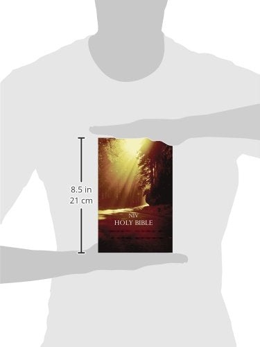 NIV, Outreach Bible, Paperback, Brown