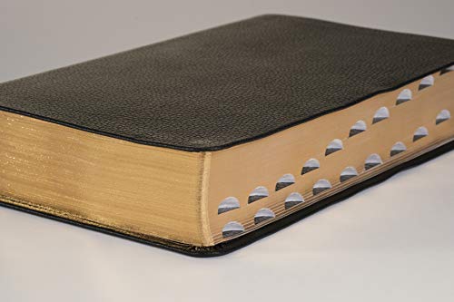 NLT Personal Size Giant Print Bible, Filament Enabled (Genuine Leather, Black, Indexed, Red Letter): Includes Free Access to the Filament Bible App ... Notes, Devotionals, Worship Music, and Video