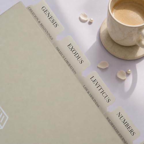UPAFEXXI-Laminated Bible Tabs with Book Summaries, Bible Study Supplies - color: Summaries Gray2