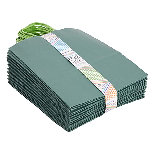 BLUE PANDA 25-Pack Dark Green Gift Bags with Handles, 8x4x10-Inch Paper Goodie Bags for Party Favors and Treats, Birthday Party Supplies