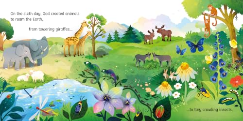 The Creation Story (Little Board Books)