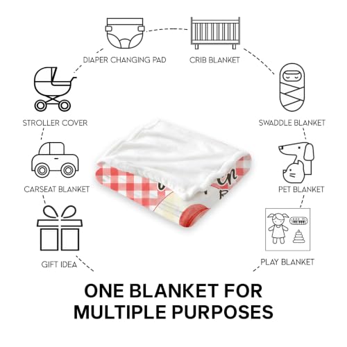 Personalized Goose Baby Blanket, Red Gingham - color: #Ver12