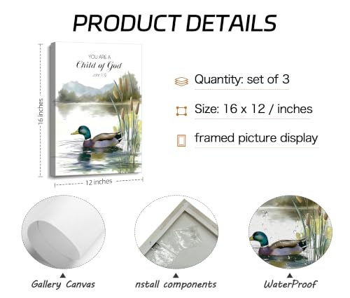 HQQUCC Duck Canvas Wall Art, 12x16 Inch, 3-Piece Set