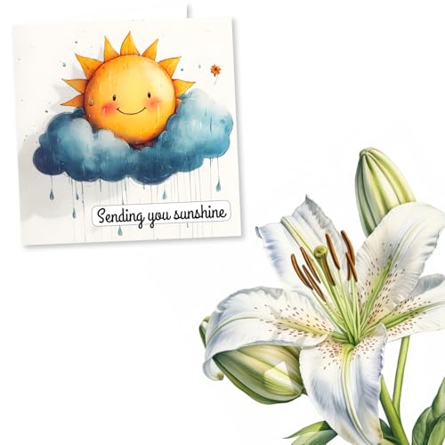 Get Well Card, Soon, Speedy Recovery After Operation - Sending Sunshine