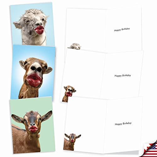 Best Card Co 20 Mini Birthday Boxed Notecards Kisses AM9280BDG-B2x10 - style: Wild Kisses