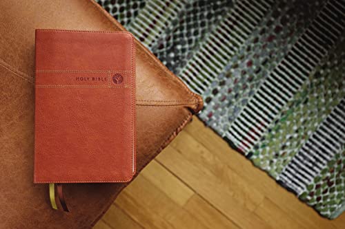 NIV, Men's Devotional Bible (By Men, for Men), Leathersoft, Brown, Comfort Print