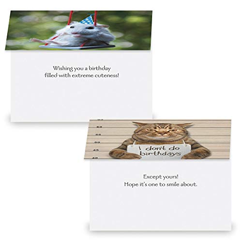 Current Happy Birthday Greeting Card Set - style: Animal