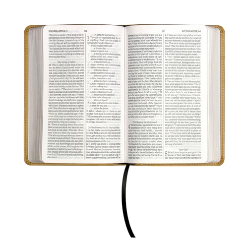 LSB Holy Bible, Compact Size, Mustard Yellow Imitation Leather with Gold-Stamped Sola Scriptura Cover: Legacy Standard Bible in 2-Column, Black Letter Format with Ribbon Marker & Gold Gilded Edges