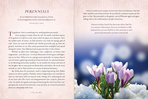Devotions from the Garden: Finding Peace and Rest from Your Hurried Life (A 90-Day Devotional)