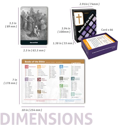 CARDDIA | Books of The Bible Flash Cards | Woodcut Illustrations, Color-Coded Divisions & Key Facts | Perfect for Bible Study, New Christians & Meaningful Christian Gifts