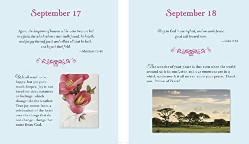Daily Gratitude (Deluxe Prayer Book)