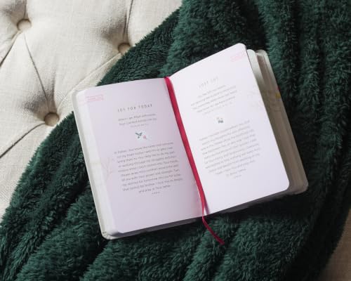 A Prayer a Day for Hope and Encouragement: A 365-Day Prayer Devotional for Busy Women