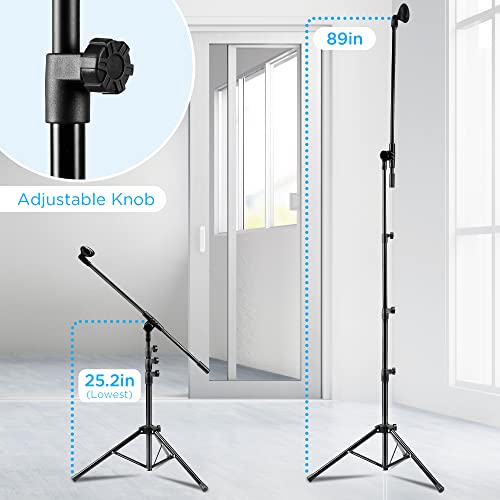 Bietrun WXM02 with 2 Pack Mic Stand