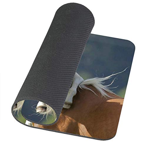 Personalized Horse with Foal Mouse Pad Customized Rectangle Non-Slip Rubber Mousepad Gaming Mouse Pads - color: Am03
