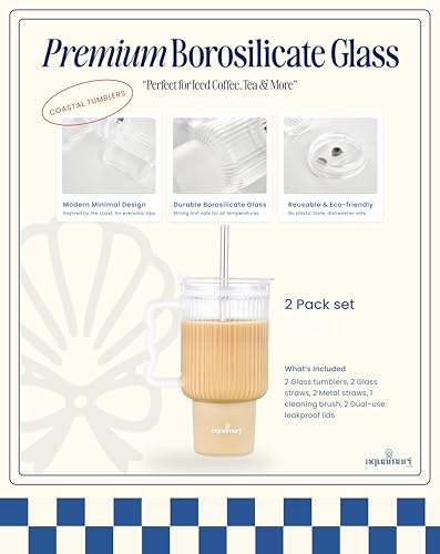 Ribbed Glass Tumbler with Lid and Straws 20oz – Set of 2 Borosilicate Glass Tumblers with Handle, Lids, and Straws – Iced Coffee Glass Cups, Glass Travel Cup, Hot & Cold Drinks