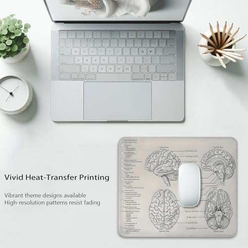Biology Diagram of Human Brain Anatomy Mouse Pad, Science Durable Desk Mat - color: Brain Illustration