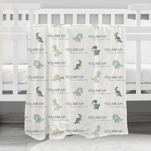Fleece Baby Blankets for Girls & Boys, Infant Toddler Blanket - color: Blue Dinosaur