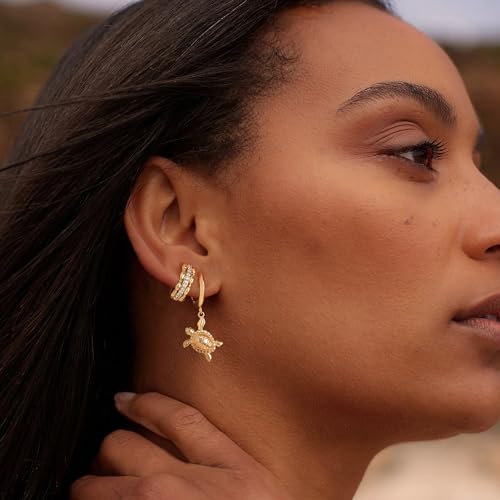 MYEARS Women Earrings Gold Huggie Hoop Dangle Drop 14K Gold Plated Small Simple Hypoallergenic Everyday Jewelry - style: Turtle