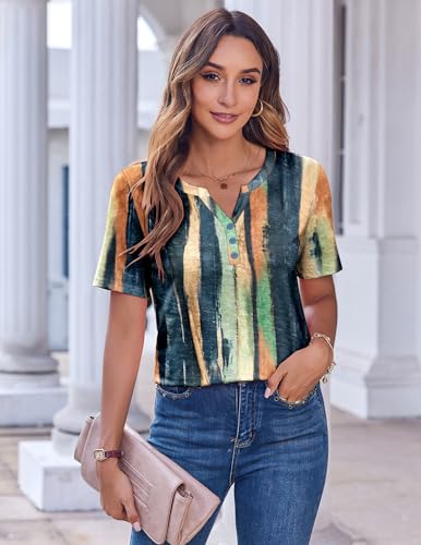 Zeagoo Womens Summer Tops Casual Short Sleeve V Neck T Shirts Dressy Blouse - color: Multicolor 289, size: XX-Large