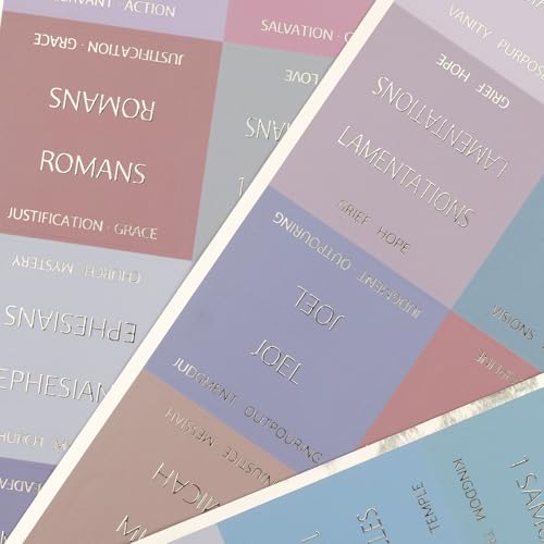 UPAFEXXI-Bible Tabs with Book Summaries, 3D Gold Foil Embossed Lettering - color: Morandi
