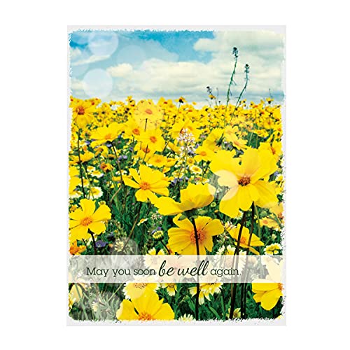 Paper Craft IG98642-RE Religious Get Well Soon Card Set with Envelopes, 12 Cards, 4.75'' W x 6.5'' H, Puppy, Floral, and Landscape Photography