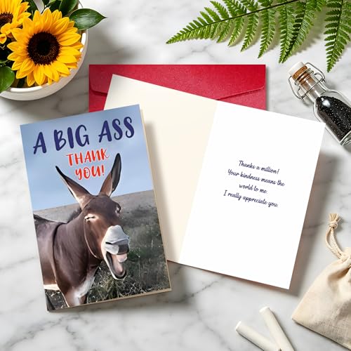 Thank You Cards with Envelopes, Funny Thank You Card for Friends, Coworkers - color: DXI#047