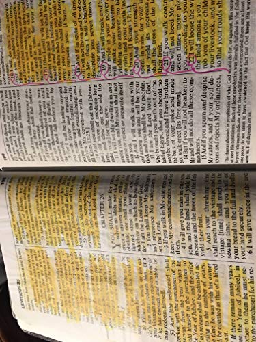 Amplified Bible, Large Print