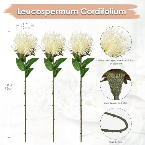 Hollyone 3Pcs White Artificial Flowers Mums Spider Mum Flower Fall 28.3'' Long Stem Fake Chrysanthemum Flowers Leucospermum Cordifolium Arrangement Faux Pincushion Flower for Office Bouquet Home Decor - color: Cream White