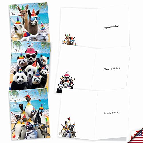 Best Card Co 20 Assorted Birthday Notes Wildlife AM10209BDG-B2x10 - style: Wildlife Photo Ops