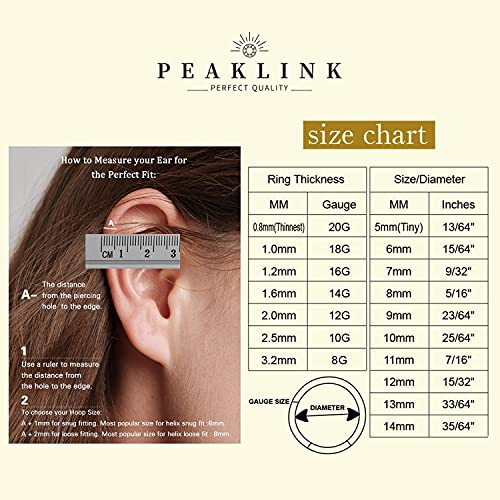 16G Cartilage Earring Hoop 316L Surgical Steel Daith Helix Conch Earrings Tragus Rook Earrings CZ Opal Septum Jewelry Seamless Clicker Nose Rings Hinged Segment Ring Hoop Earring for Women Men - color: 1PC,Black,Cross CZ