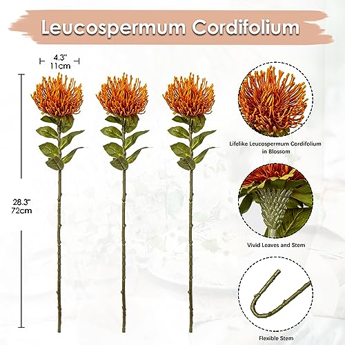 3Pcs Orange Artificial Fall Flowers Spider Mum Flower 28.3'' Long Stem Fake Chrysanthemum Flowers Leucospermum Cordifolium Arrangement Autumn Faux Pincushion Flowers for Office Bouquet Home Decor - color: Orange