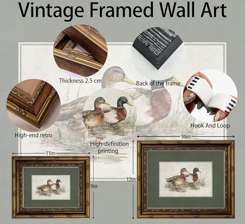 sezhylee Mallard Duck Framed Wall Art Vintage Duck nursery Wall Decor 12x16 - color: Mallard Duck, size: 16"L x 12"W