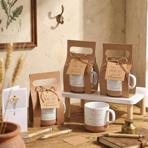 6 Set Employee Appreciation Gift Thank You Mug with Boxes Inspirational Ballpoint Pen Gift Card Tag Twine Ceramic Coffee Cup Set for Birthday Housekeeping Week Coworker Team Staff (Sometime) - style: Sometimes
