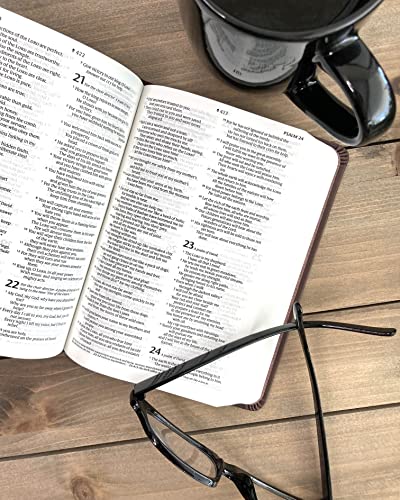 NLT Premium Value Compact Bible, Filament Enabled (LeatherLike, Dark Brown Framed Cross)