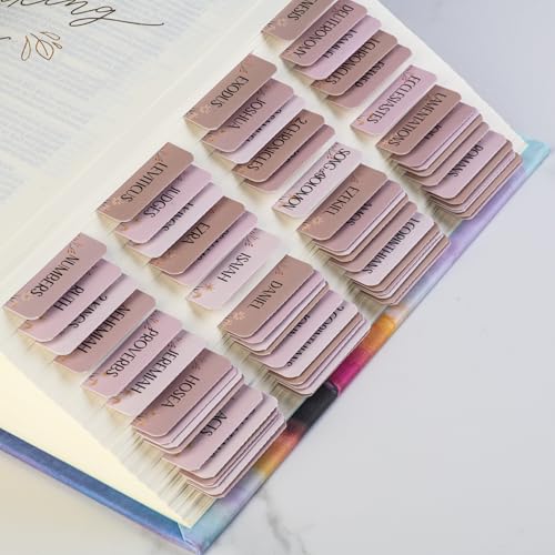 DiverseBee Laminated Bible Tabs with Book Summaries (Canon Theme) - color: Canon