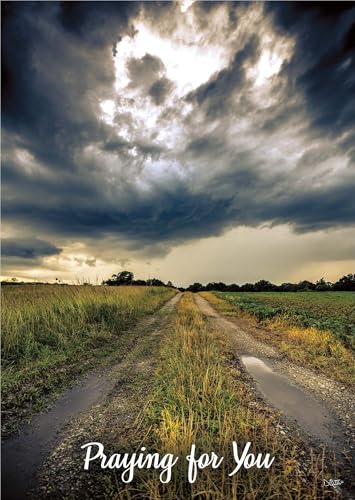 KJV Storm Landscape Praying for You Card, 1 Count - color: Embrace the Storm