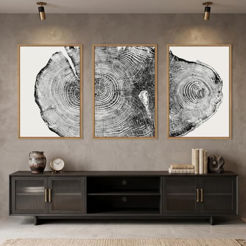 Aryroi Large Vintage Tree Ring Framed Canvas Wall Art Set- 16"x24"x3 - color: Black and White Tree ring Wall Art, size: 16"L x 24"W