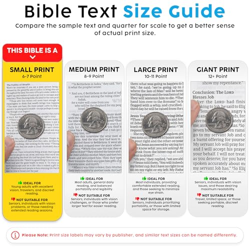 Personalized KJV Bible, Custom Name, School Name, Class of 2026 Design, King James Version, Red Letter, Deluxe Gift Edition, High School or Collage Graduate, Graduation Gift, Gray - color: Kjv Gray Deluxe, size: King James Version