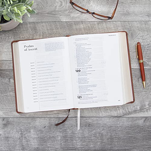 CSB He Reads Truth Bible, Saddle LeatherTouch, Black Letter, Wide Margins, Journaling Space, Study Tools, Reading Plans, Maps, Charts, Easy-to-Read Bible Serif Type