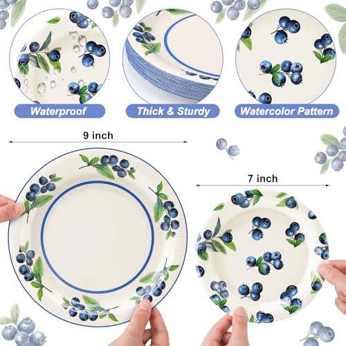 Funnymoom 48 Pcs Blueberry Paper Plates, 9" 7" Disposable Dinner Plates - style: Blueberry